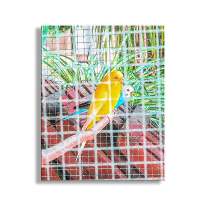 Bird Art as Bright Vibrant Home Decor with Abstract Colorful Parakeets