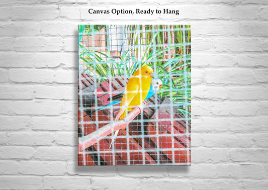 Bird Art as Bright Vibrant Home Decor with Abstract Colorful Parakeets