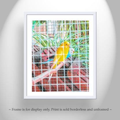 Bird Art as Bright Vibrant Home Decor with Abstract Colorful Parakeets