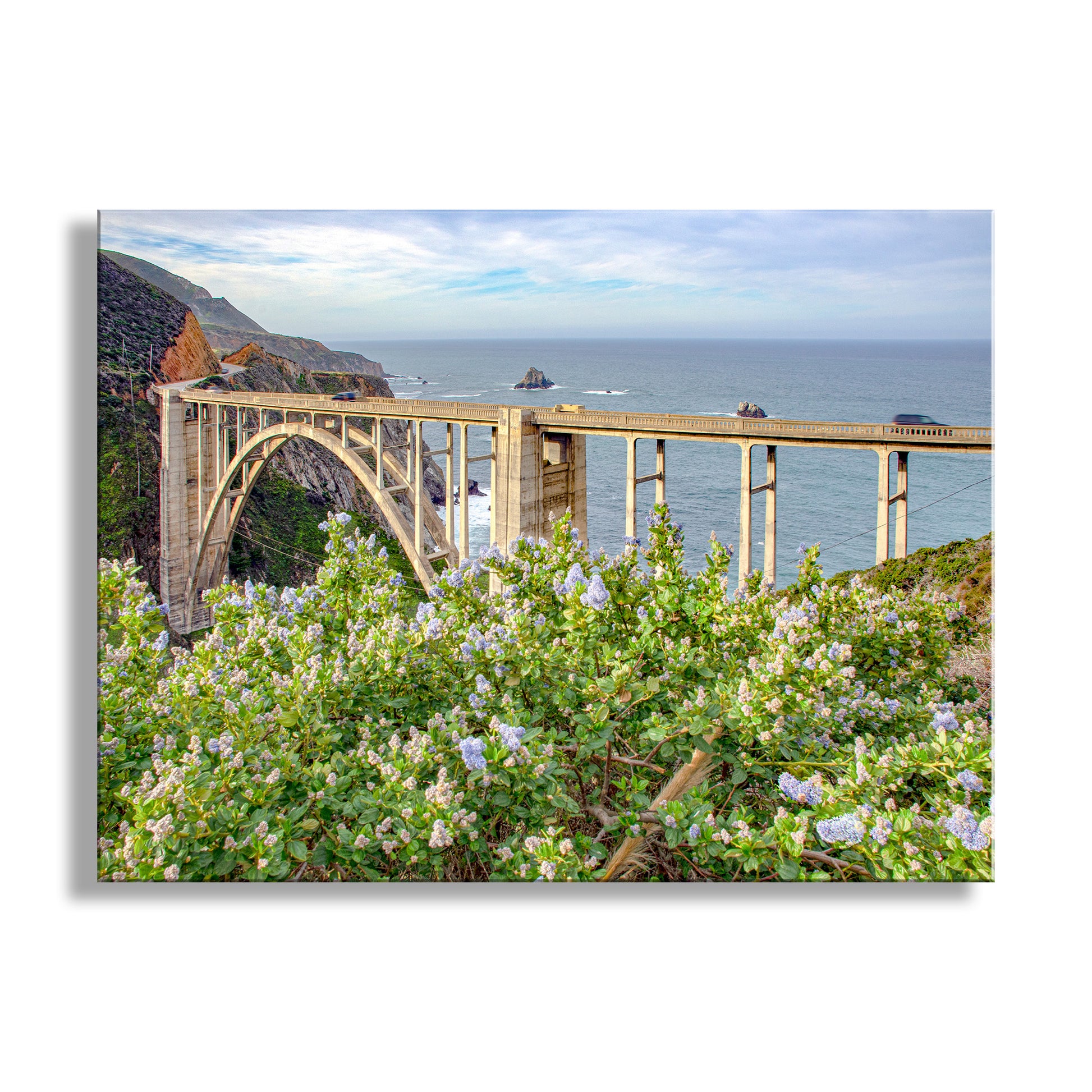 Bridge over a body of water with flowers in the foreground. Big Sur Bixby Creek Bridge California Art with Wildflowers