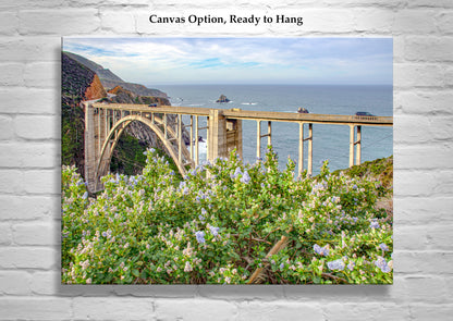 Big Sur Bixby Creek Bridge California Art with Wildflowers
