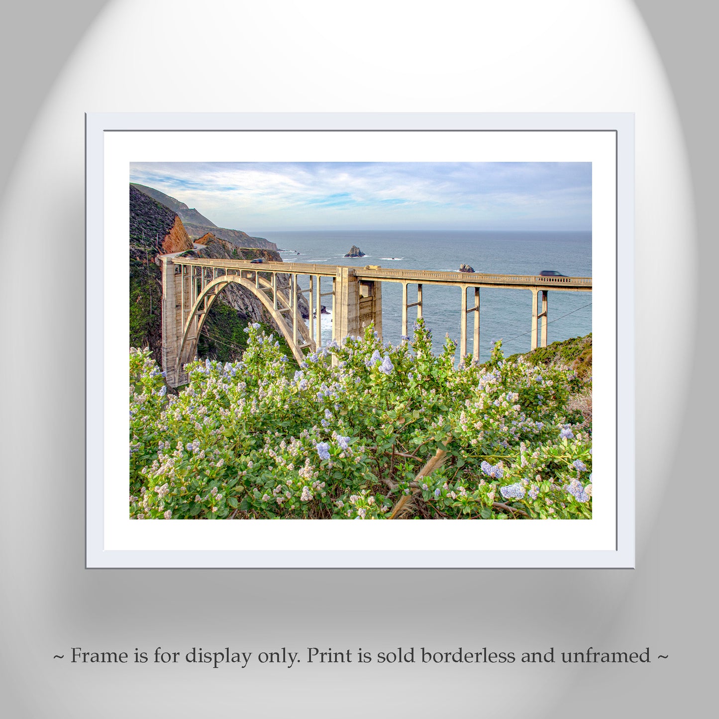 Big Sur Bixby Creek Bridge California Art with Wildflowers