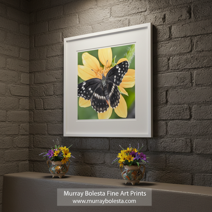 Butterfly on a yellow flower with a green background. Butterfly Nature Art Print with Bright Vivid Yellow Arizona Wildflower by Murray Bolesta