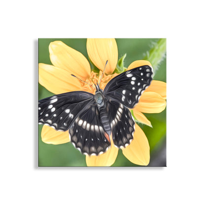 Butterfly on a yellow flower with a green background. Butterfly Nature Art Print with Bright Vivid Yellow Arizona Wildflower