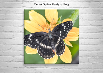 Butterfly Nature Art Print with Bright Vivid Yellow Arizona Wildflower