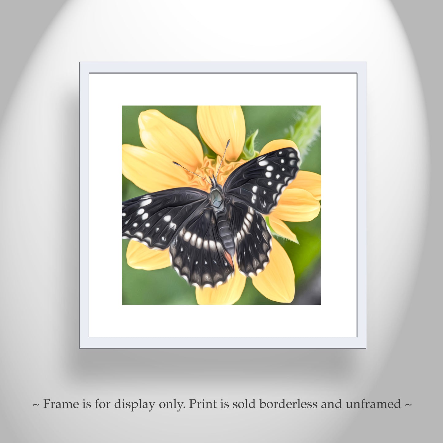 Butterfly Nature Art Print with Bright Vivid Yellow Arizona Wildflower