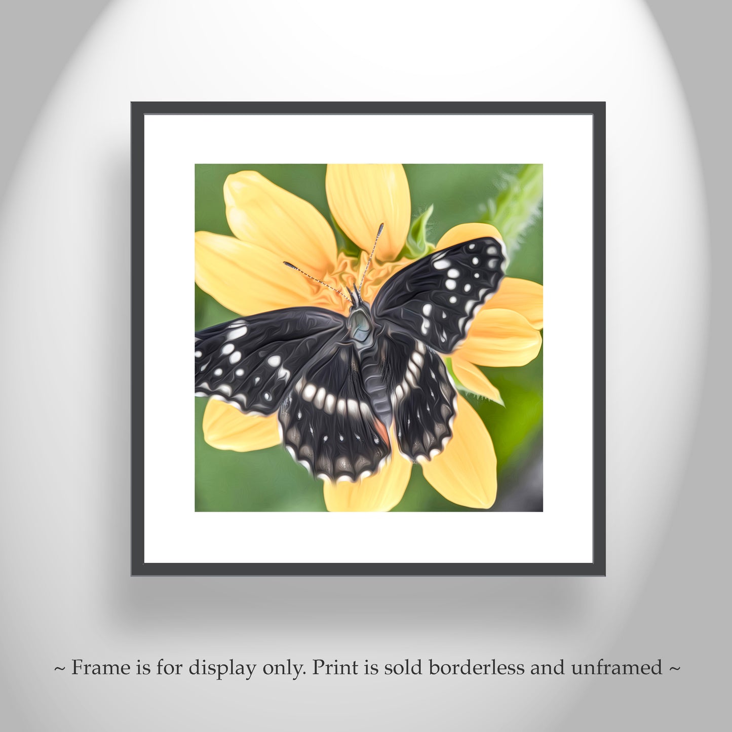 Butterfly Nature Art Print with Bright Vivid Yellow Arizona Wildflower