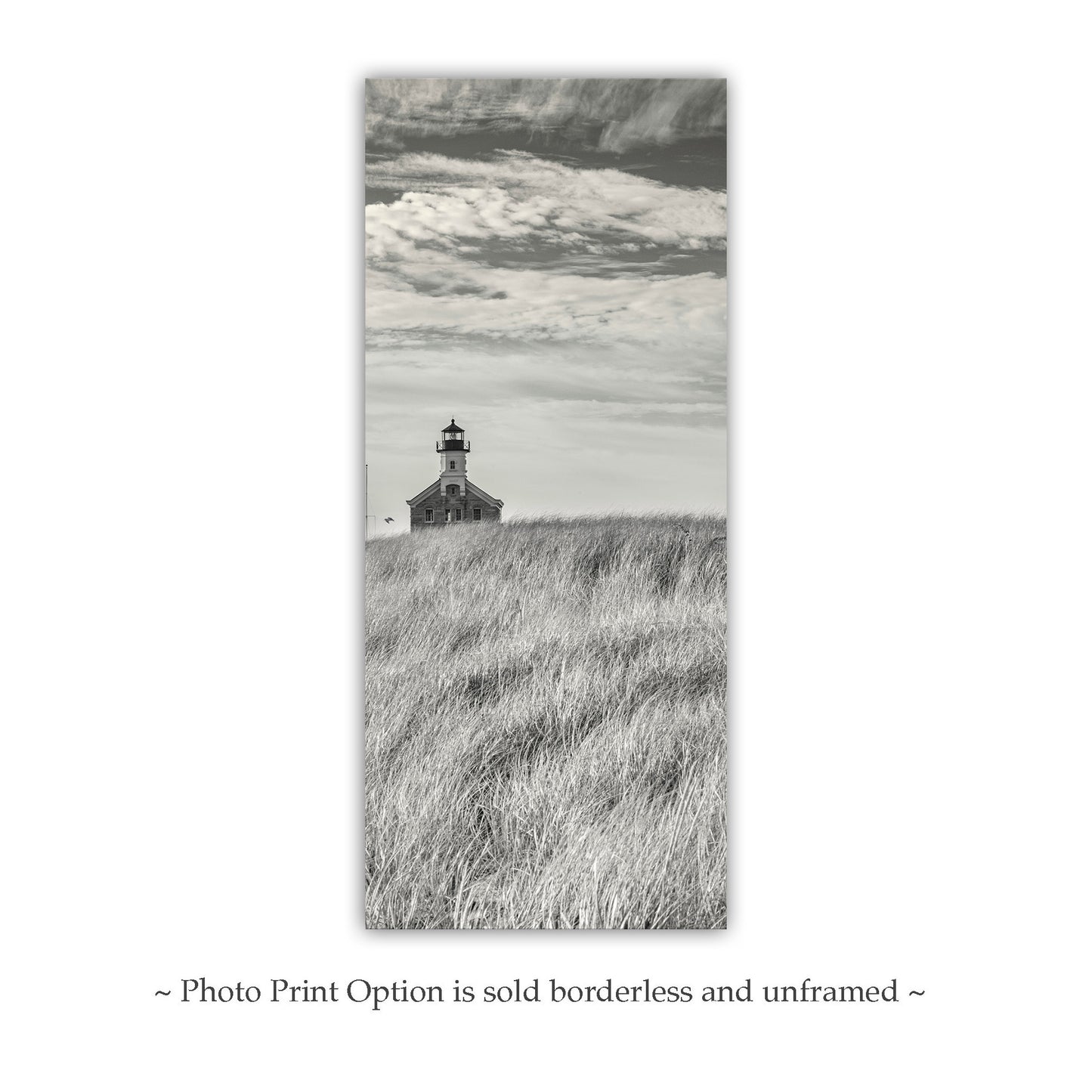 Block Island Beach Grass Lighthouse | Vertical Wall Art