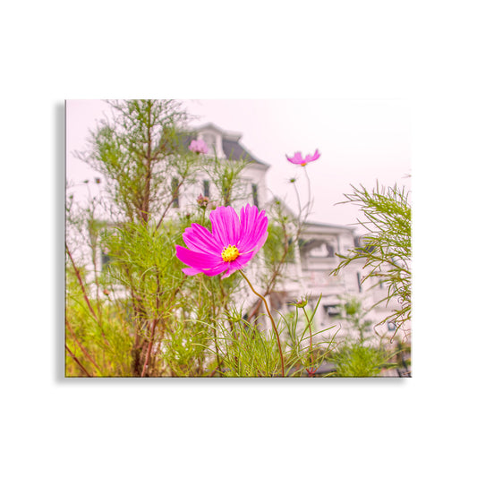 New Shoreham Block Island Rhode Island Street Art Print Gift