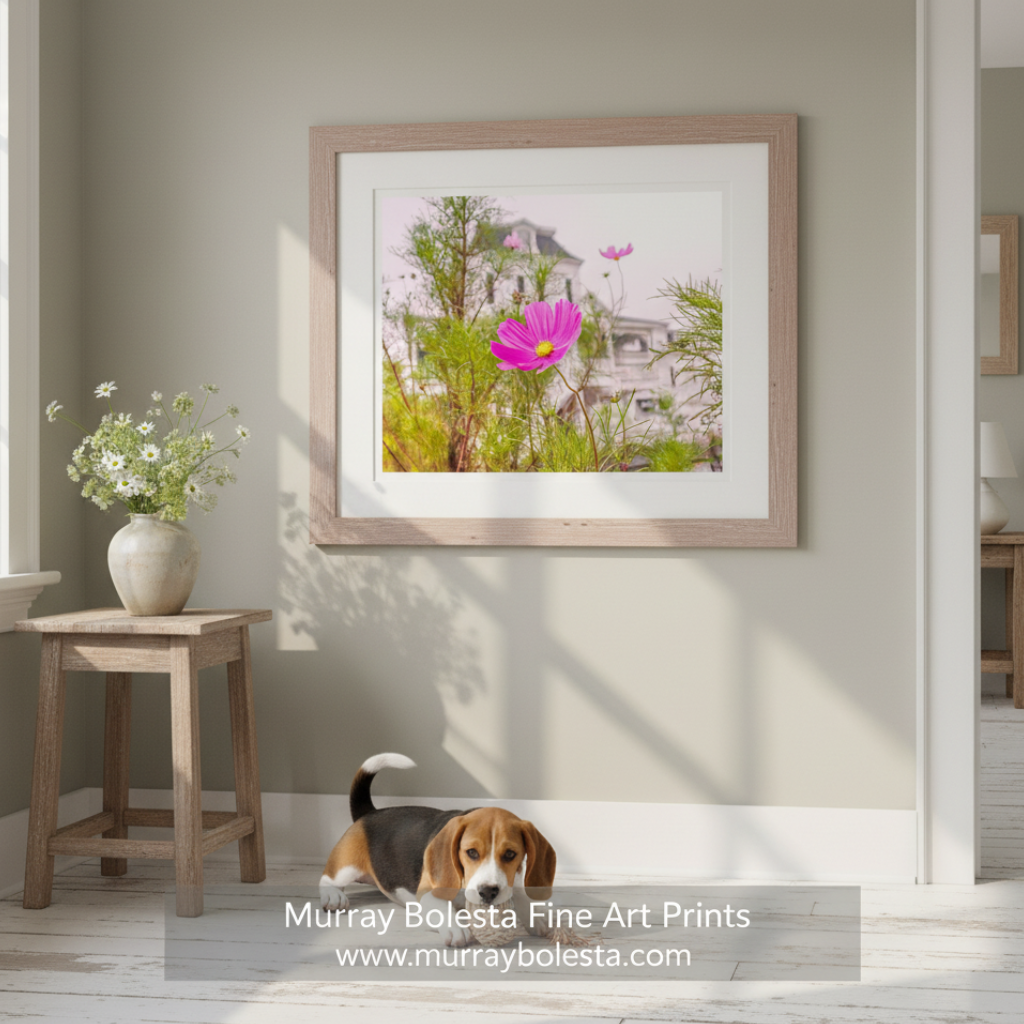 A vibrant pink flower stands out against a backdrop of lush greenery and a white building. Block Island Village Street Art Print | New Shoreham Rhode Island by Murray Bolesta