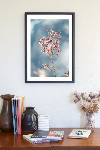 Pastel Blue Flower Art Print with Arizona Desert Ironwood Tree Blossoms