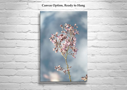 Pastel Blue Flower Art Print with Arizona Desert Ironwood Tree Blossoms