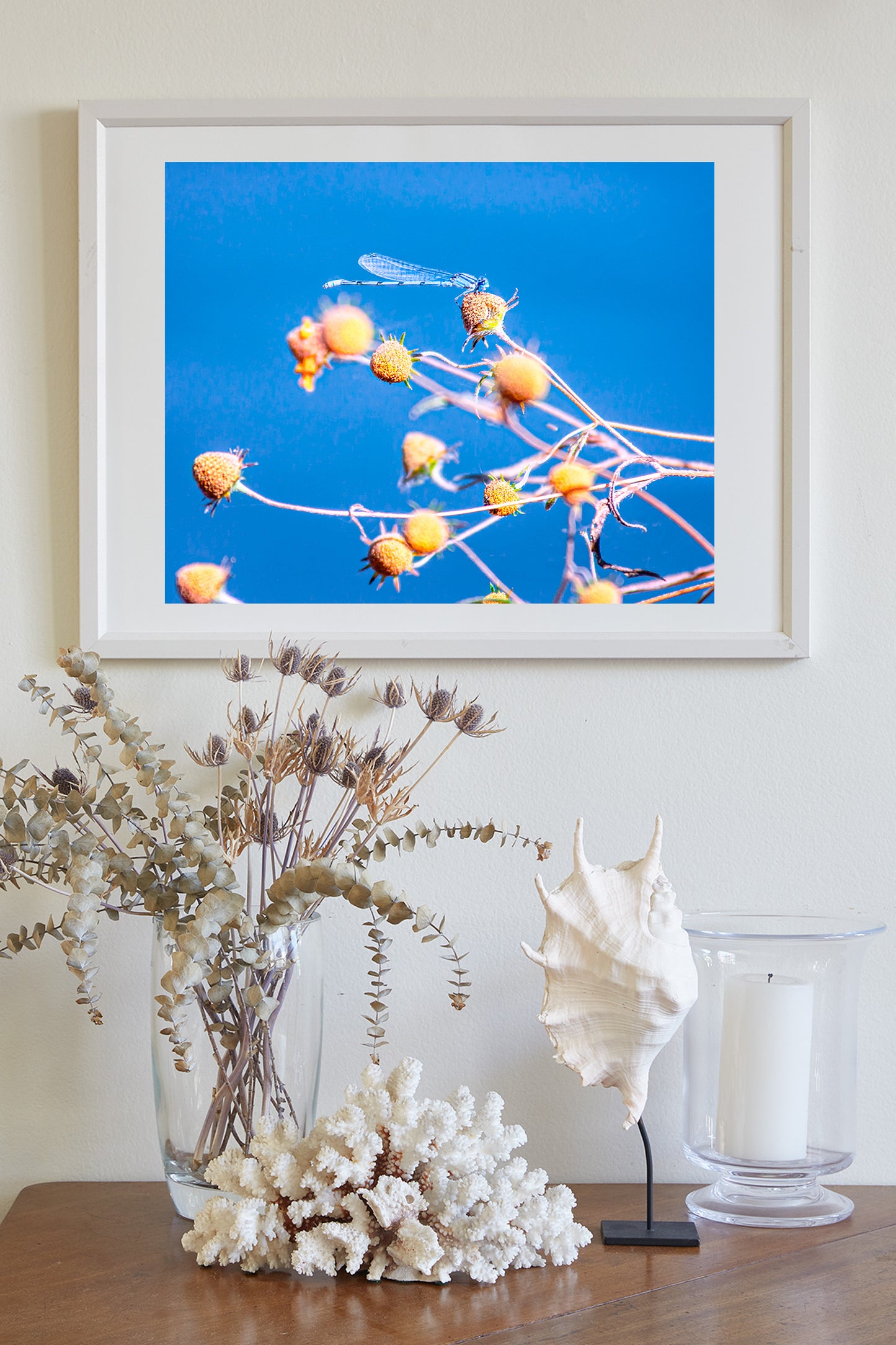 Blue Damselfly Insect Nature Photography Print as Vibrant Arizona Wall Art