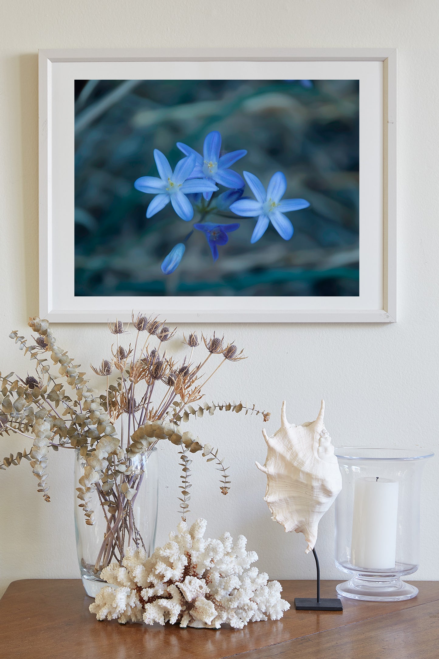 Blue Wildflower | Minimalist Arizona Desert Canyon Nature Photography