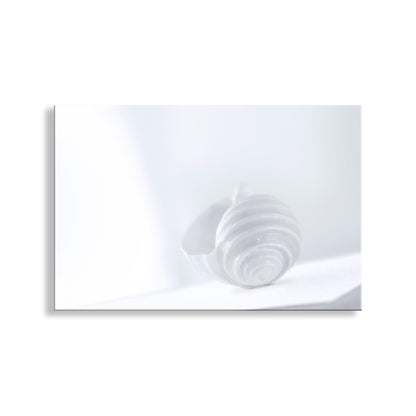 Abstract white artwork on a white background. Pastel Seashell Wall Art – Periwinkle Blue & Lavender Minimalist Print