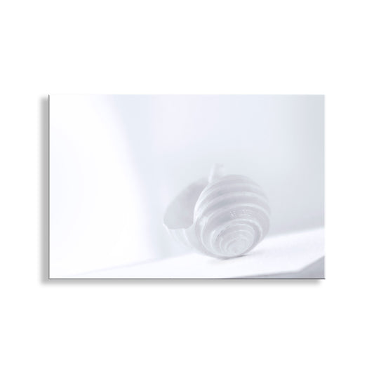 Abstract white artwork on a white background. Pastel Seashell Wall Art – Periwinkle Blue & Lavender Minimalist Print
