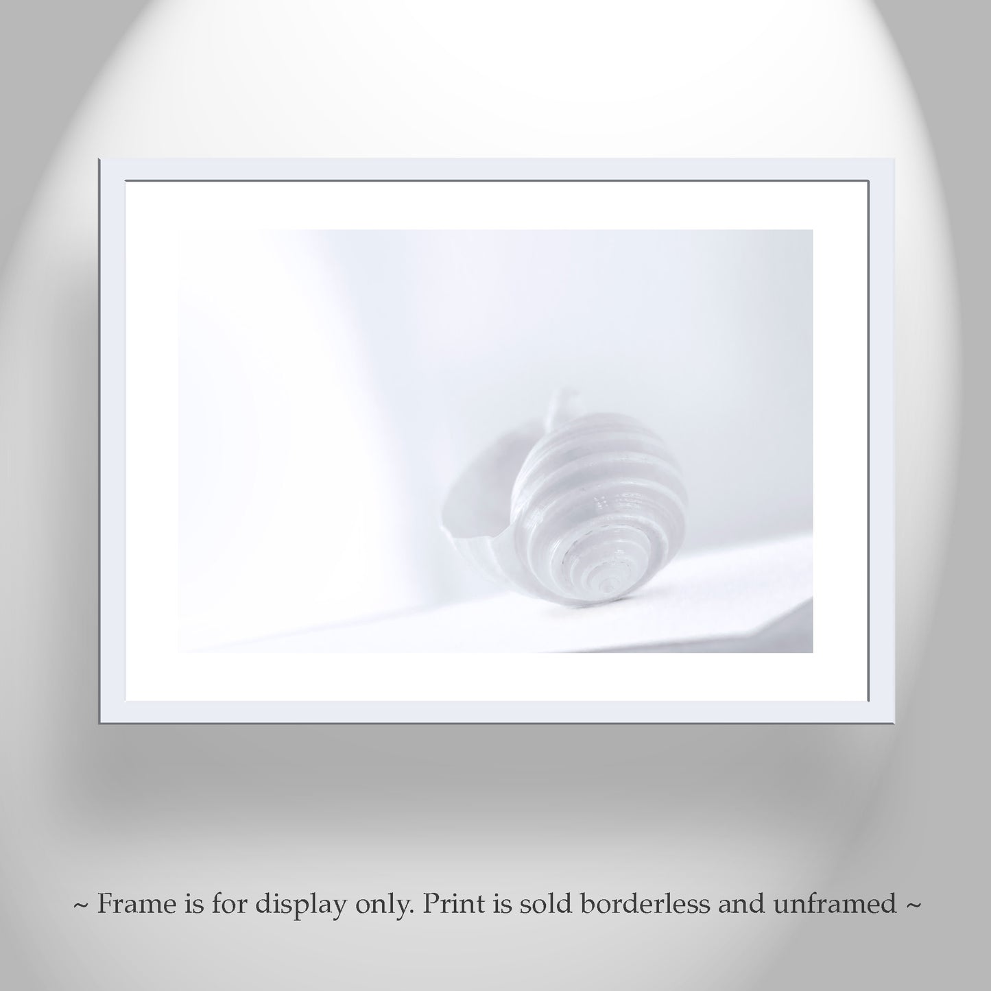 Pastel Seashell Wall Art – Periwinkle Blue & Lavender Minimalist Print