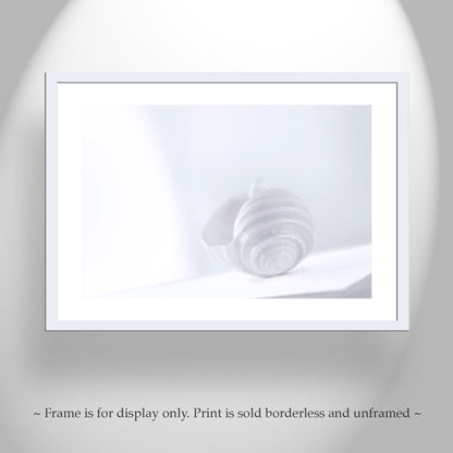 Pastel Seashell Wall Art – Periwinkle Blue & Lavender Minimalist Print