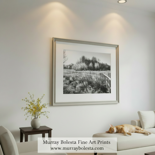 Black and white landscape with a wooden fence and trees in the background. Black and White Fine Art Photograph of Stark Winter Frost Landscape by Murray Bolesta