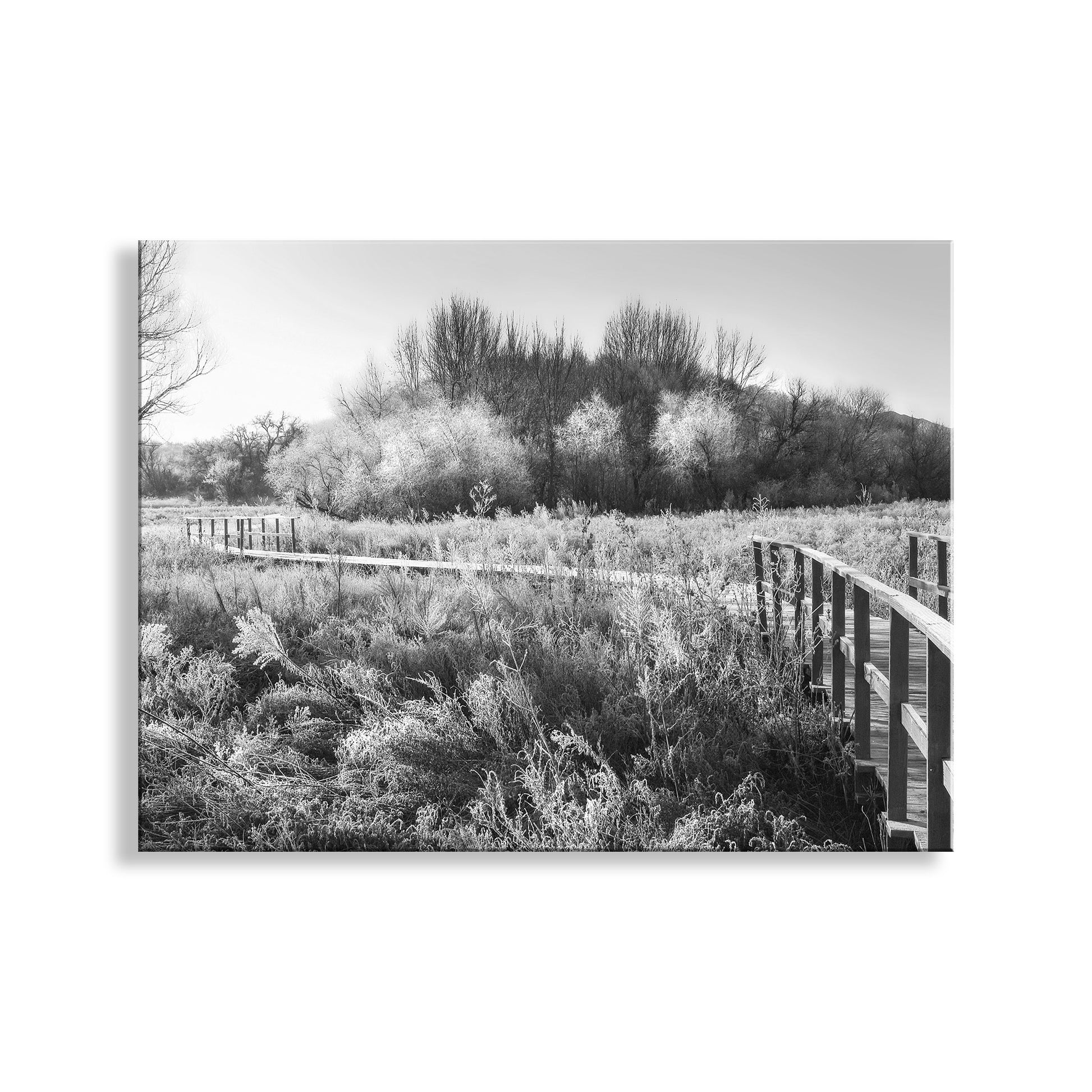 Black and white landscape with a wooden fence and trees in the background. Black and White Fine Art Photograph of Stark Winter Frost Landscape