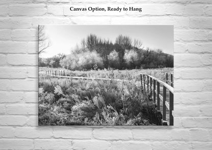 Black & White Fine Art Photo of Winter Frost Wetlands Landscape