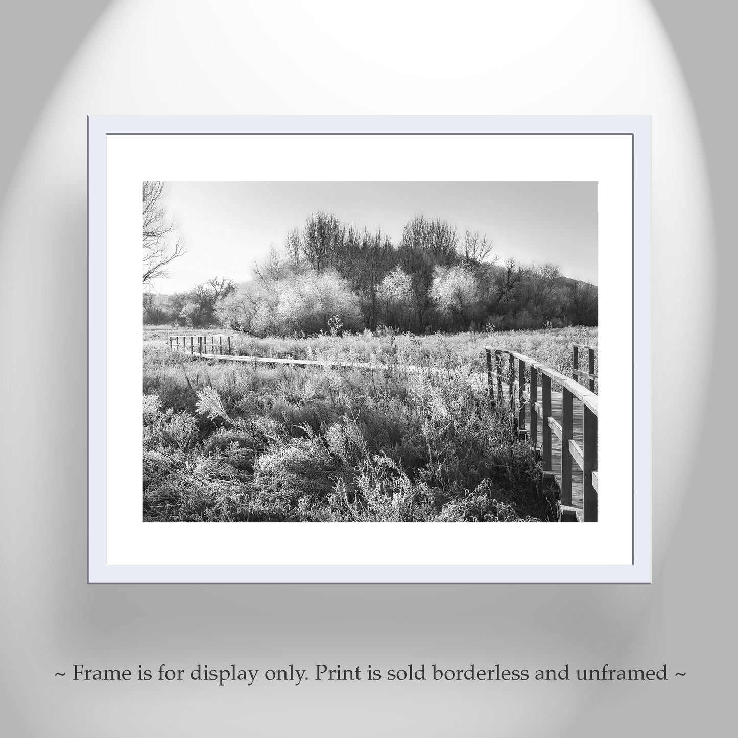 Black & White Fine Art Photo of Winter Frost Wetlands Landscape