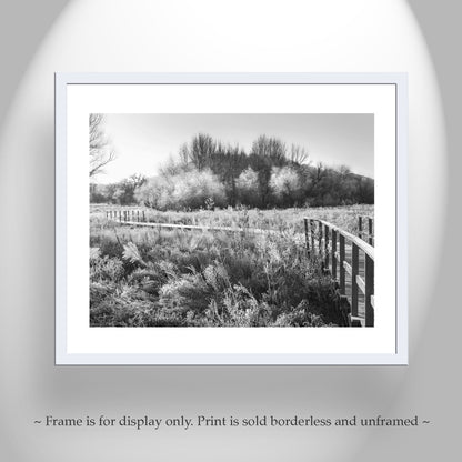 Black & White Fine Art Photo of Winter Frost Wetlands Landscape