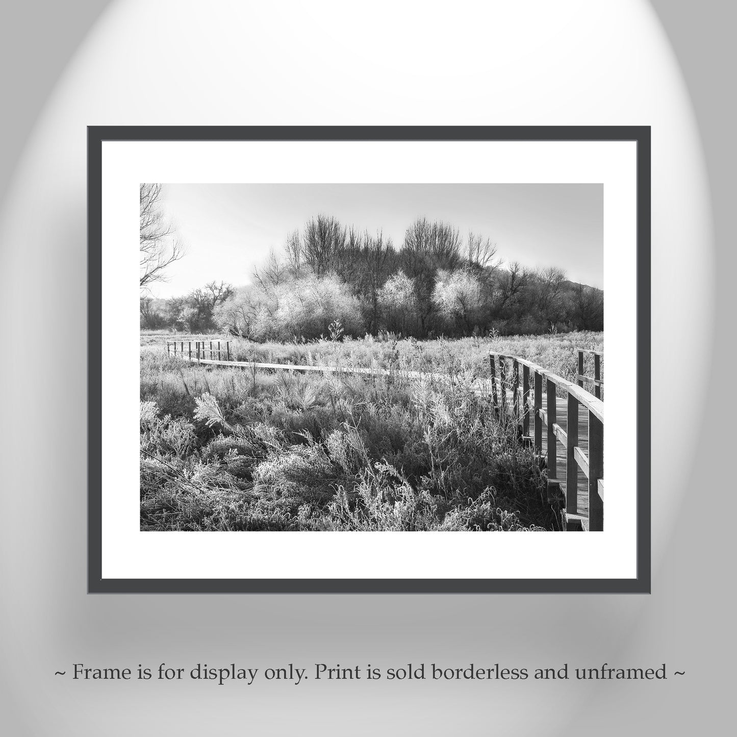 Black & White Fine Art Photo of Winter Frost Wetlands Landscape