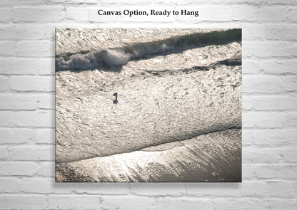 Torrey Pines San Diego Boogie Boarder Beach Art Print