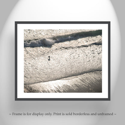 Torrey Pines San Diego Boogie Boarder Beach Art Print
