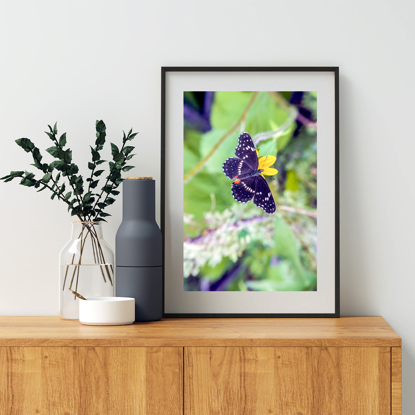 Nature Home Decor with Beautiful Spring Butterfly | Southern Arizona