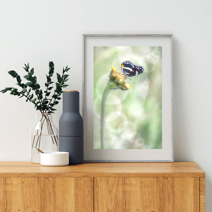 Whimsical Spring Nature Wall Art with Butterfly and Bubbles