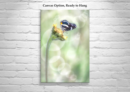 Whimsical Spring Nature Wall Art with Butterfly and Bubbles