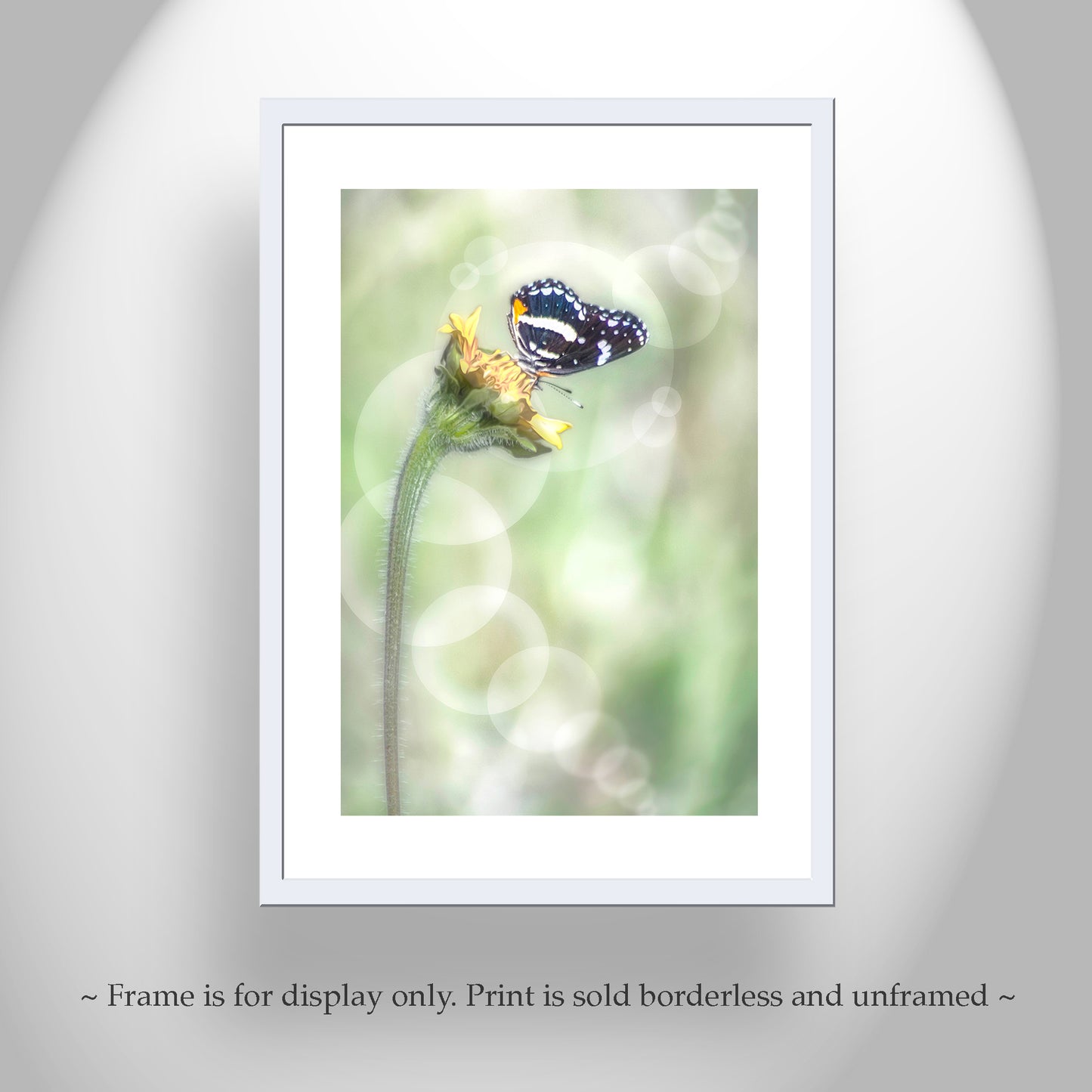 Whimsical Spring Nature Wall Art with Butterfly and Bubbles
