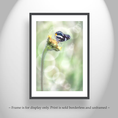 Whimsical Spring Nature Wall Art with Butterfly and Bubbles