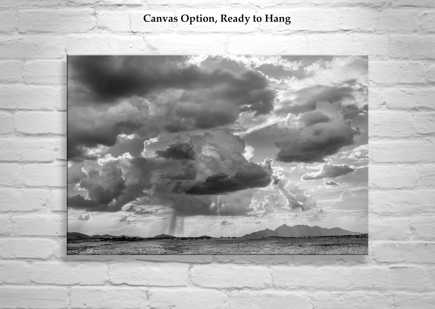 Black & White Fine Art Print | Southern Arizona Desert Storm Landscape