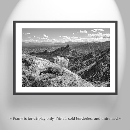 Arizona Atascosa Mountain Fine Art Print in Black & White
