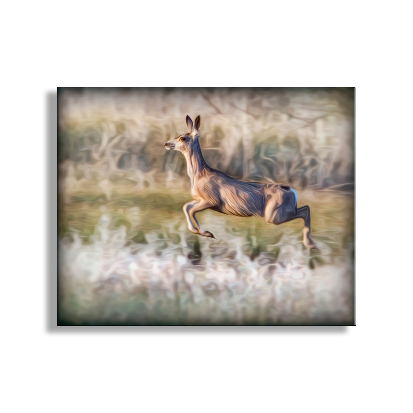 A graceful wild deer bounds through the grass at Madera Canyon of the Santa Rita Mountains, borderlands Arizona planet Earth! I artfully rendered this fine art image from my original photograph. Original, unique signed art by Murray Bolesta.