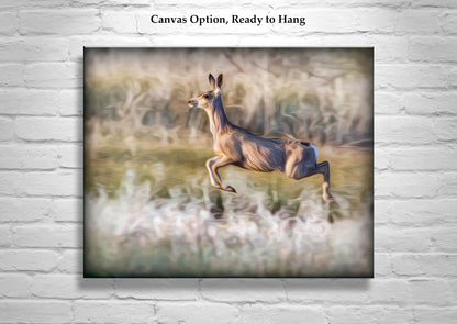 Wildlife Photography Print with Leaping Deer at Madera Canyon Arizona