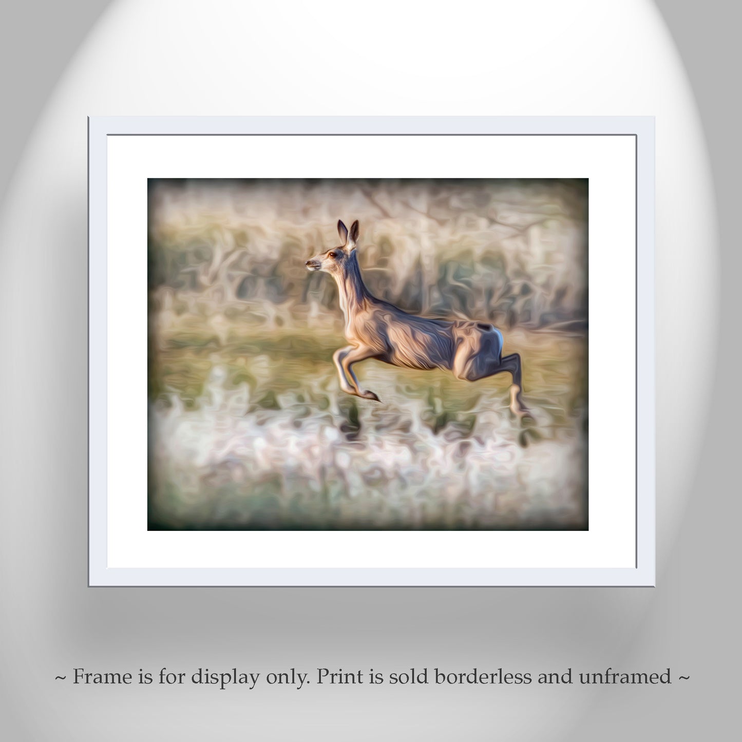 Wildlife Photography Print with Leaping Deer at Madera Canyon Arizona