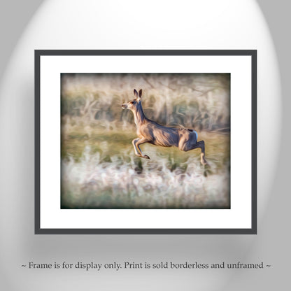 Wildlife Photography Print with Leaping Deer at Madera Canyon Arizona