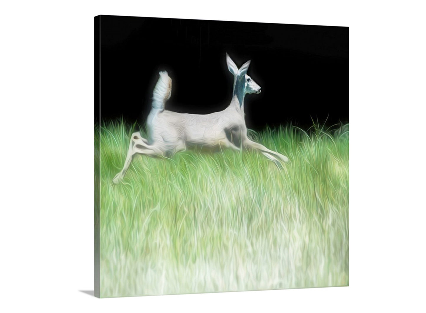 Beautiful wildlife art! Artfully rendered from my original photograph, this is my spritely deer picture for your walls. Here, an endearing deer leaps through the verdant spring-fed grass in a secret Nature Conservancy property in borderlands Arizona. Original, unique signed art by Murray Bolesta.