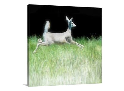 Beautiful wildlife art! Artfully rendered from my original photograph, this is my spritely deer picture for your walls. Here, an endearing deer leaps through the verdant spring-fed grass in a secret Nature Conservancy property in borderlands Arizona. Original, unique signed art by Murray Bolesta.