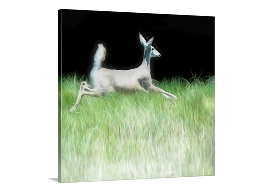 Beautiful wildlife art! Artfully rendered from my original photograph, this is my spritely deer picture for your walls. Here, an endearing deer leaps through the verdant spring-fed grass in a secret Nature Conservancy property in borderlands Arizona. Original, unique signed art by Murray Bolesta.