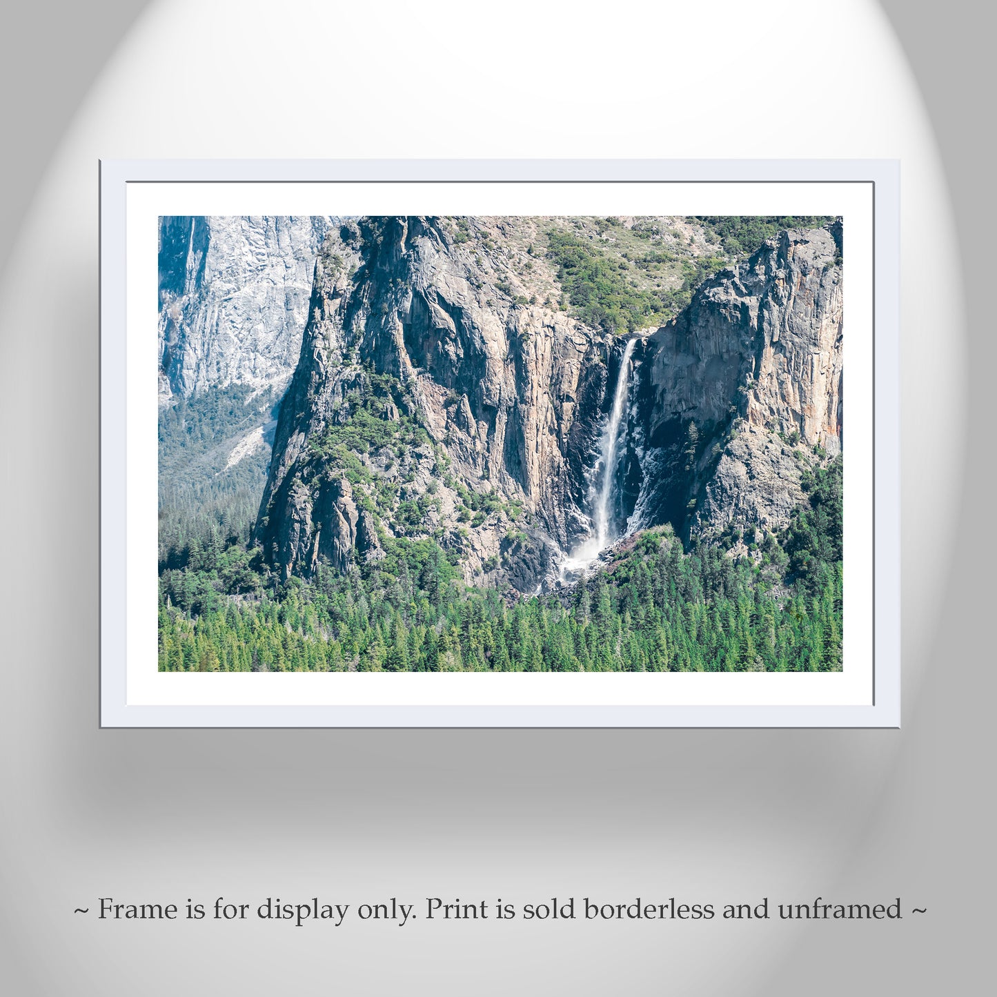 Bridal Veil Falls Photograph with Yosemite Valley Forest