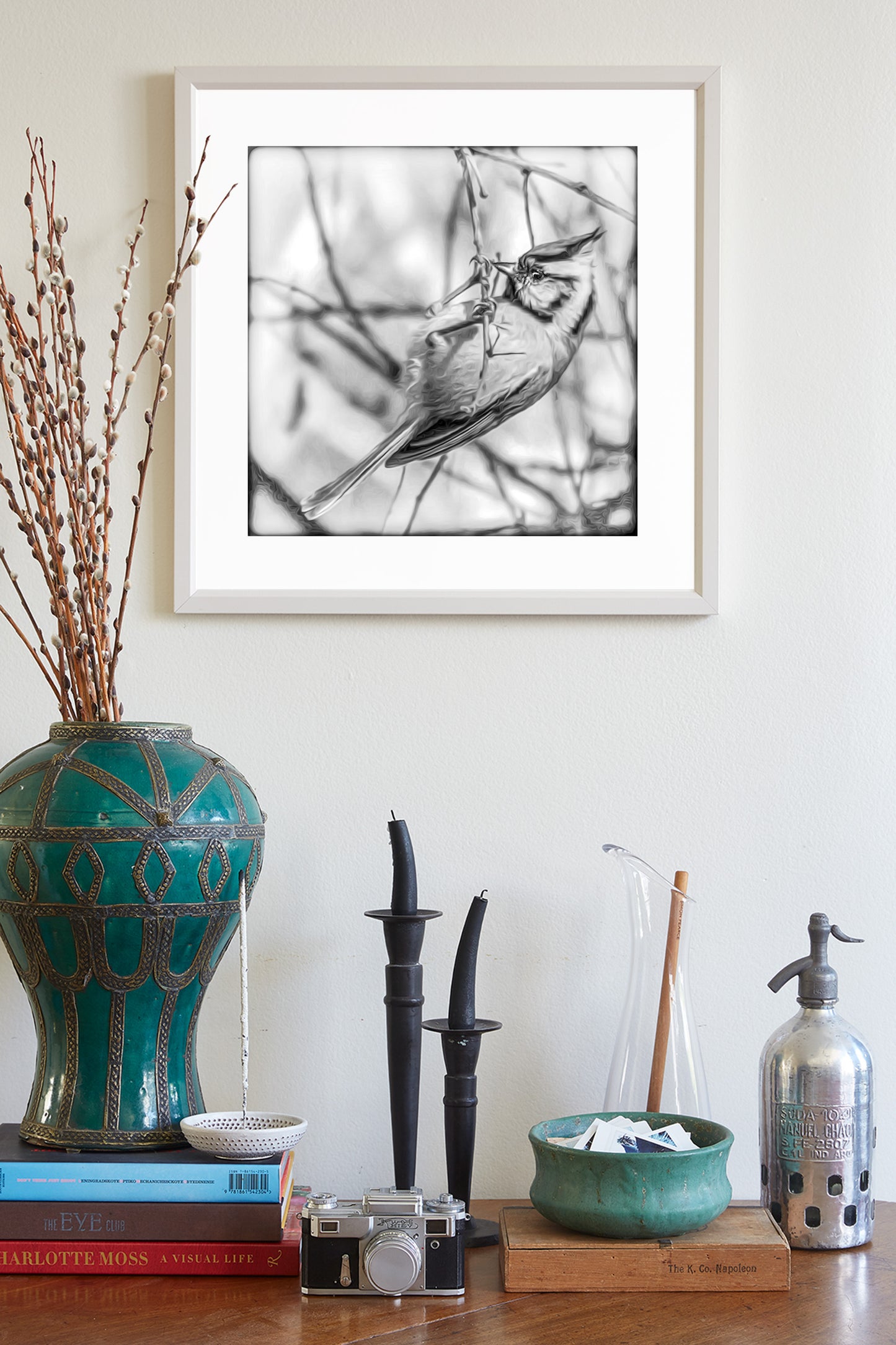 Bird Wildlfe Photography in Black and White with Bridled Titmouse
