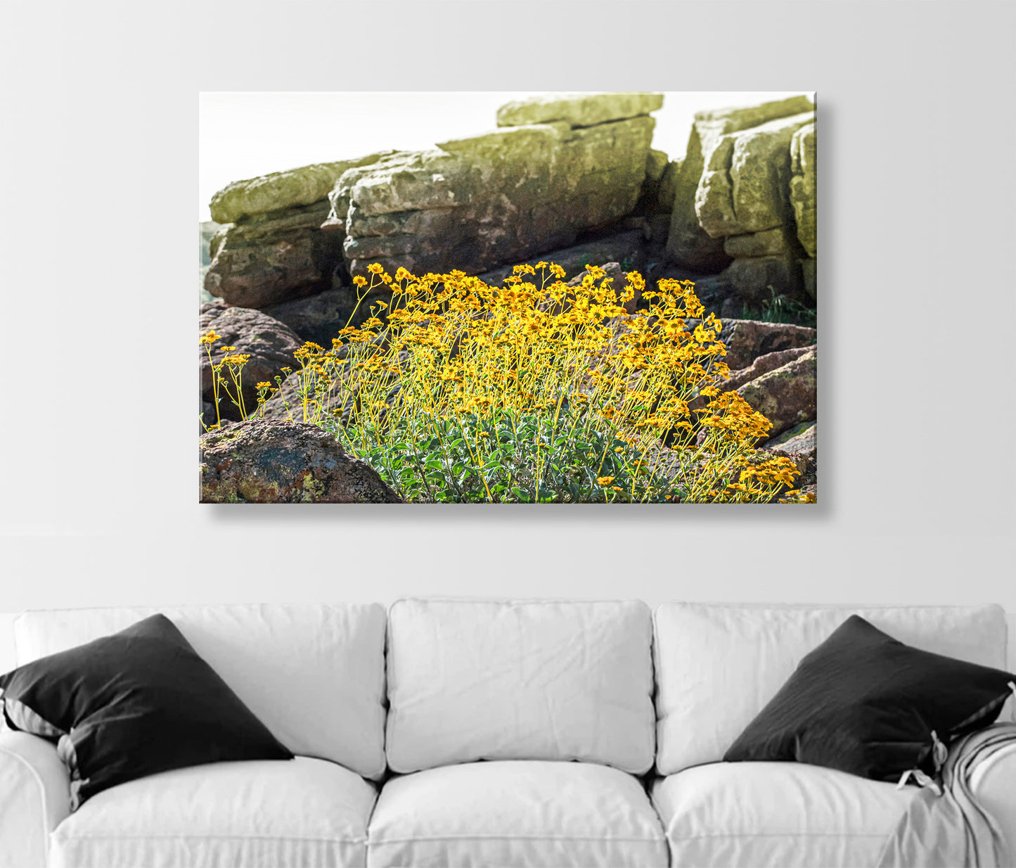 Desert Wildflower Landscape Art |Yellow Brittlebush at Tucson Mountain Park