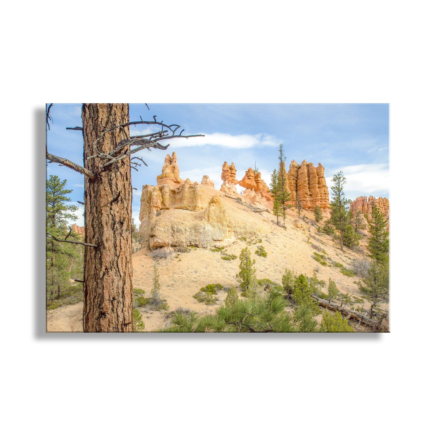 A scenic landscape featuring a rocky hillside with unique rock formations, surrounded by trees and shrubs. Bryce Canyon National Park Desert Landscape Photography Print.