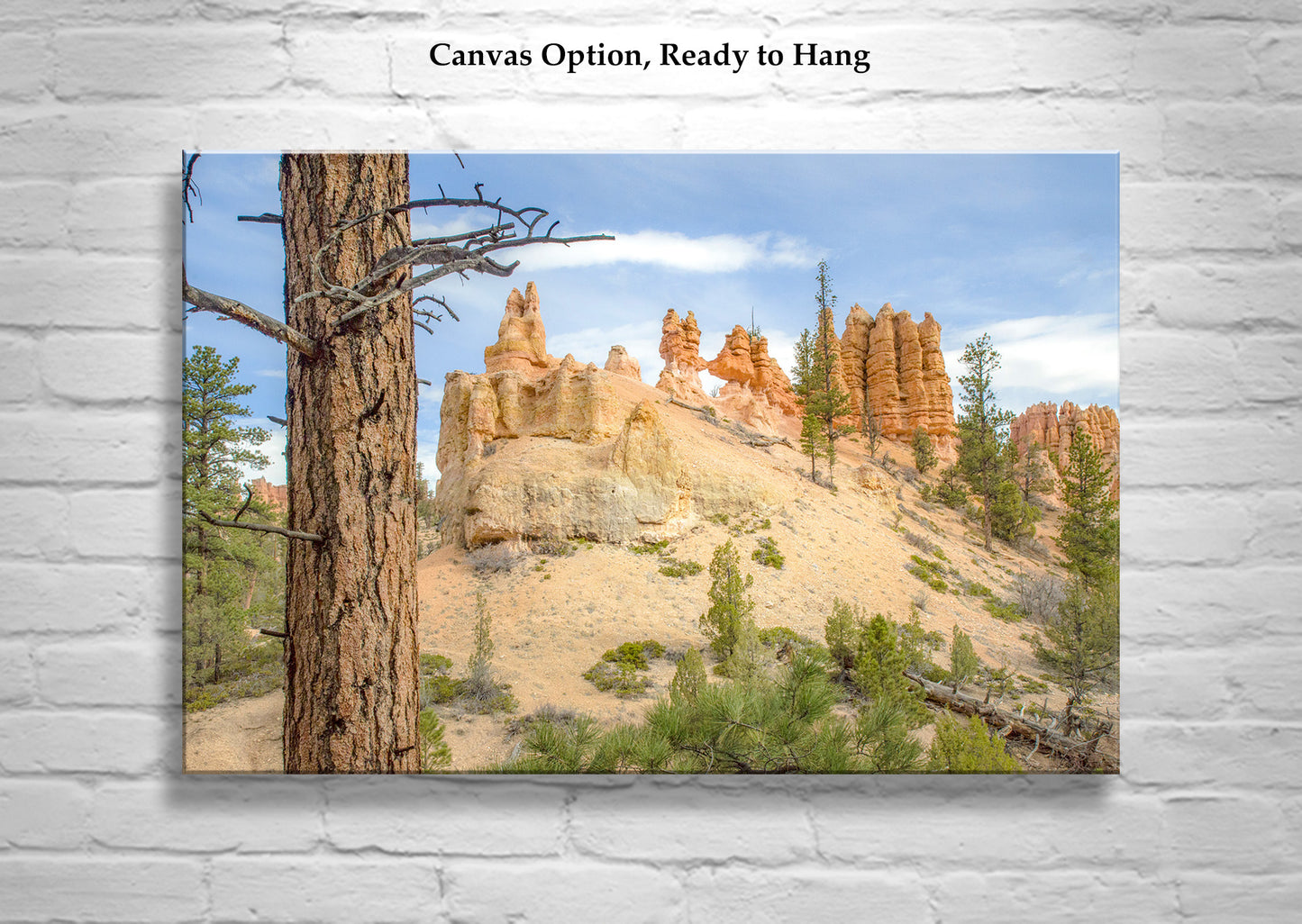 Bryce Canyon National Park Desert Landscape Photography Print