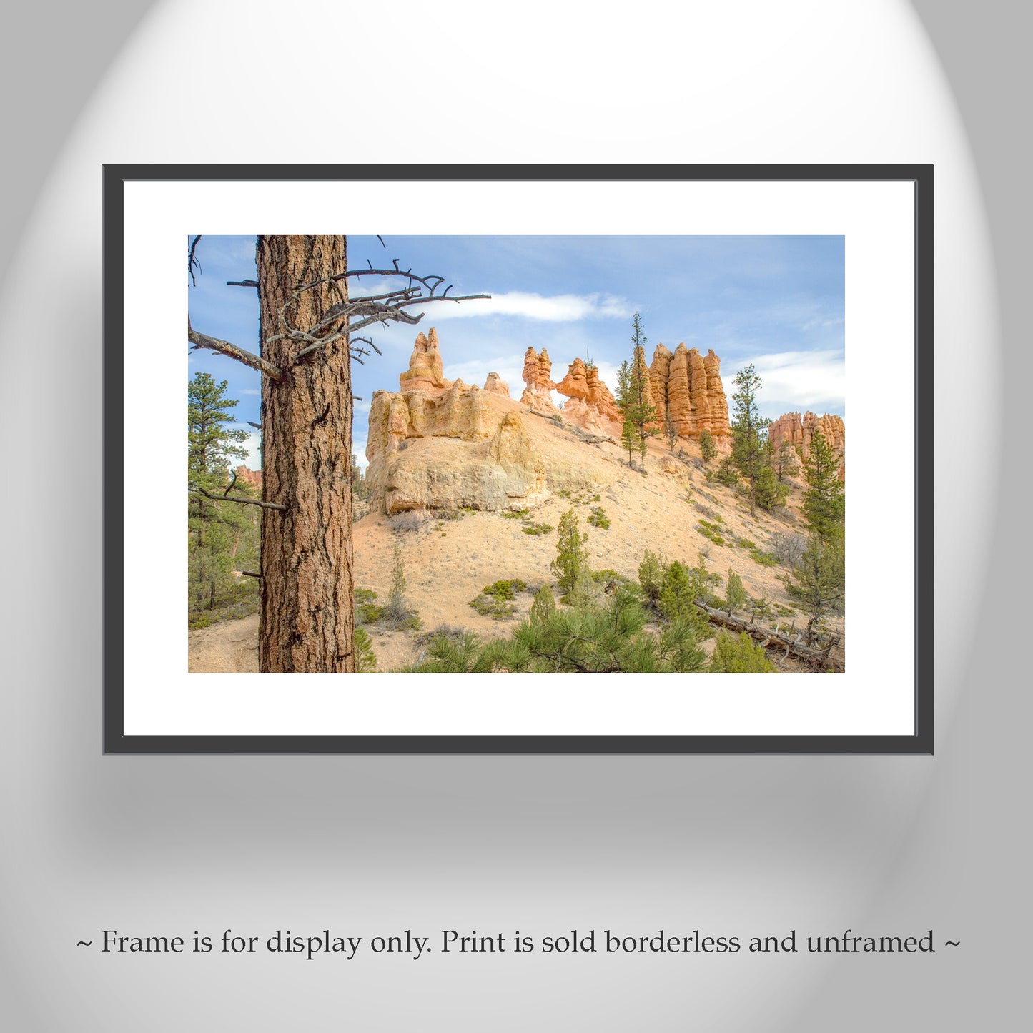 Bryce Canyon National Park Desert Landscape Photography Print